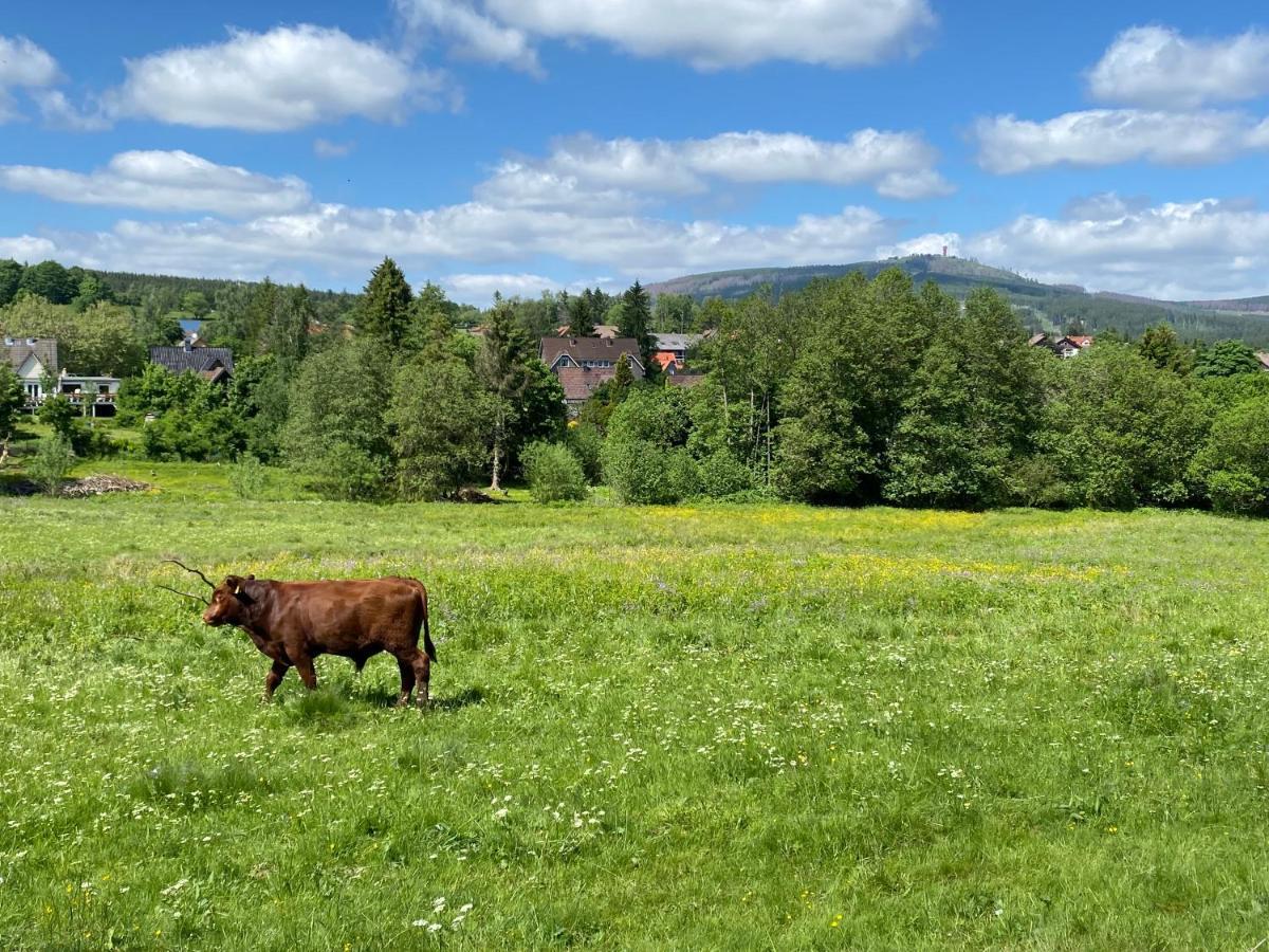 Berglage - Das Urlaubzuhause ブラウンラーゲ エクステリア 写真